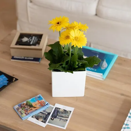 Birago22capri Apartman Capri